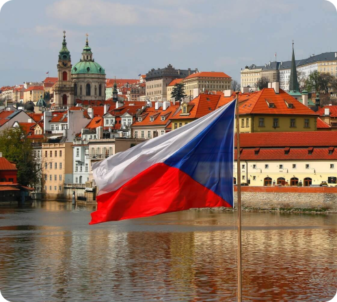 Identify Visa Pathway Type & Qualification